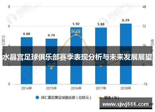 水晶宫足球俱乐部赛季表现分析与未来发展展望